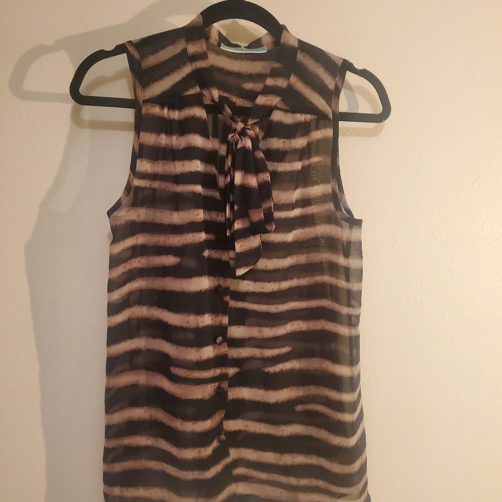 Pleione sheer top